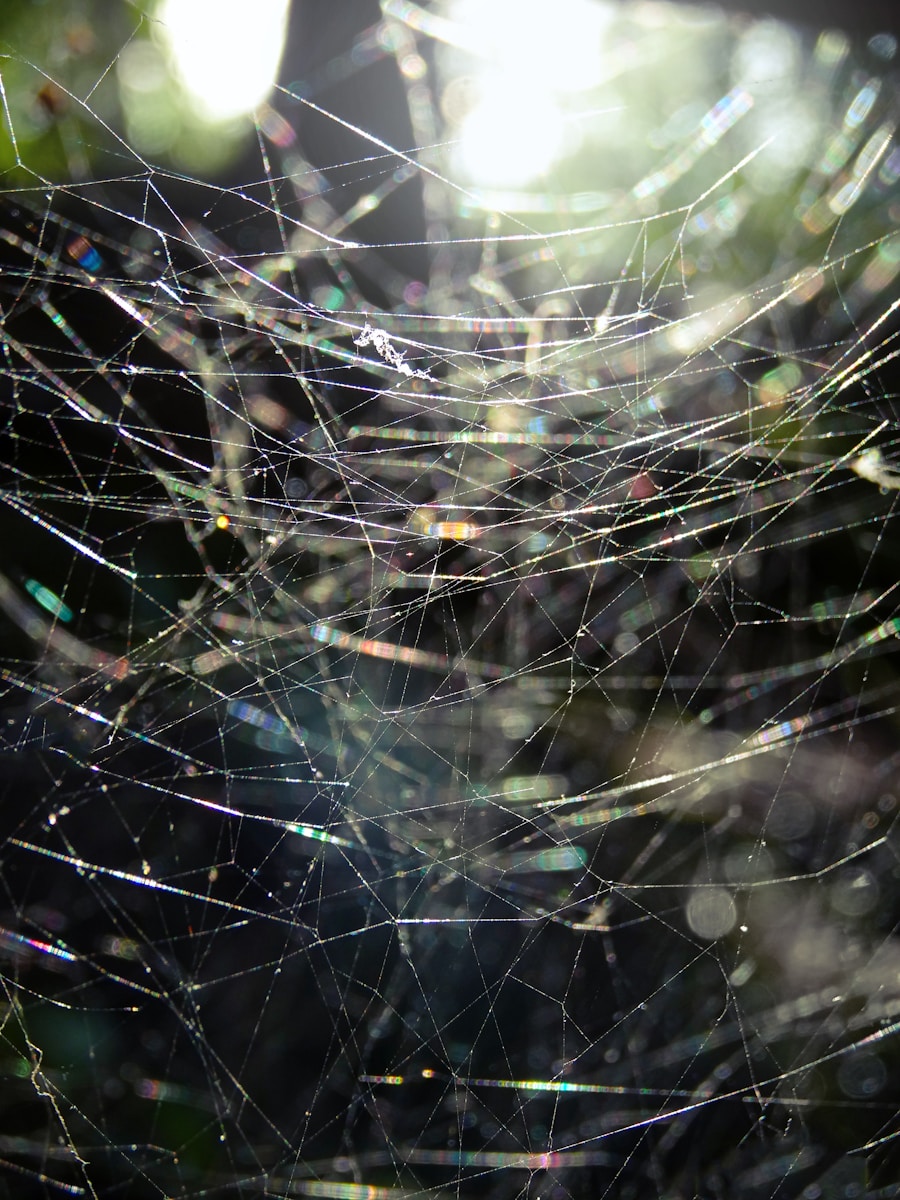 Photo by Bas van den Eijkhof water droplets on spider web in close up photography during daytime