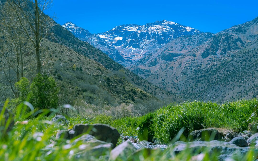 Marchés de la Nature (1 sur 3) — La finance verte comme opportunité stratégique pour le Maroc.