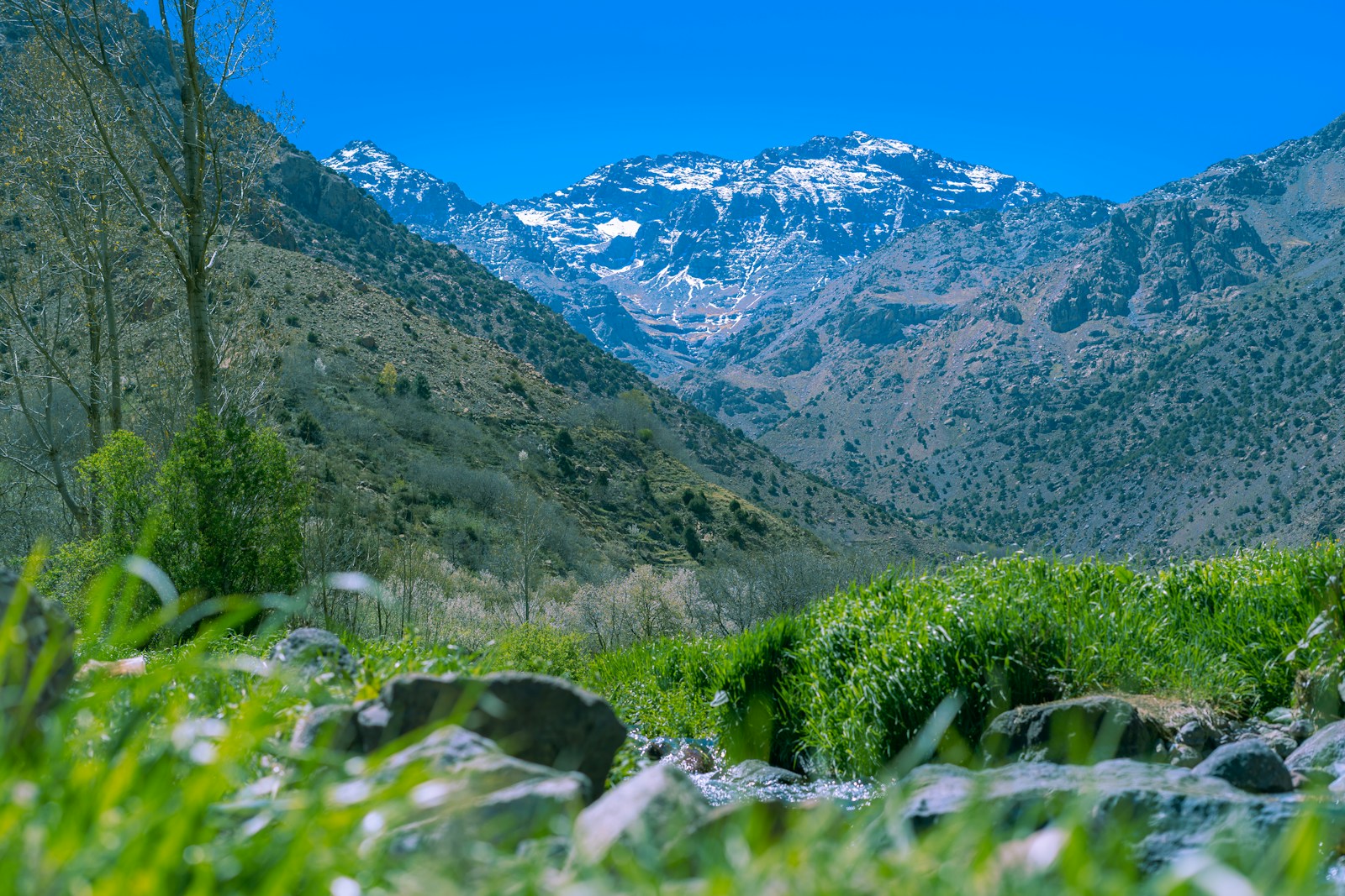 Futurise – Nature Markets Morocco 1 Futurise - Nature Markets Morocco 1