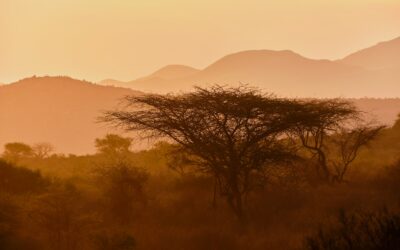 Marchés de la Nature (3 sur 3) — Nature business au Maroc et en Afrique : incitations nationales et diplomatie climatique.