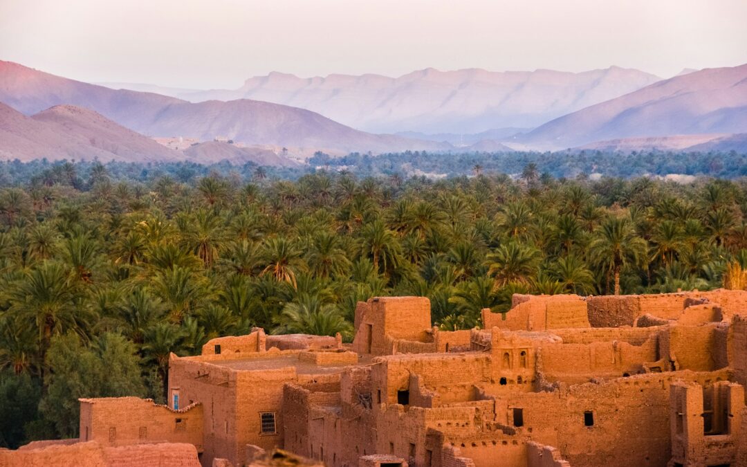 Marchés de la Nature (2 sur 3) — Comment structurer un marché de la biodiversité au Maroc ?