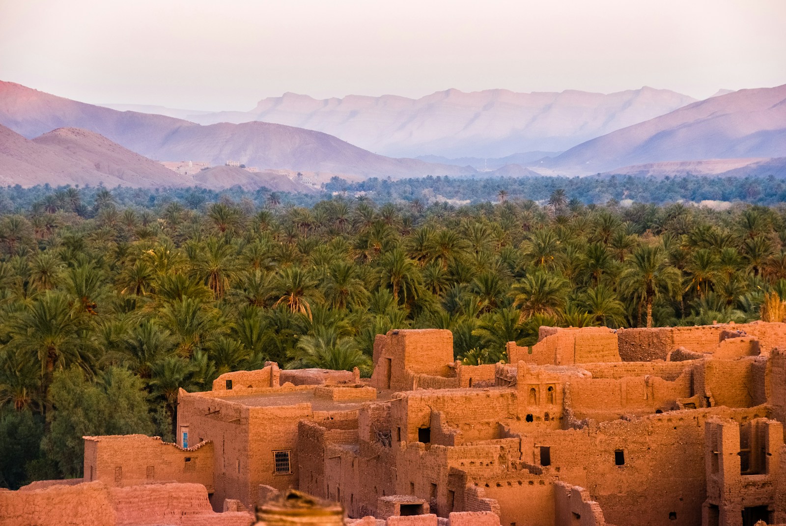 Futurise – Nature Markets Morocco 2 Futurise - Nature Markets Morocco 2