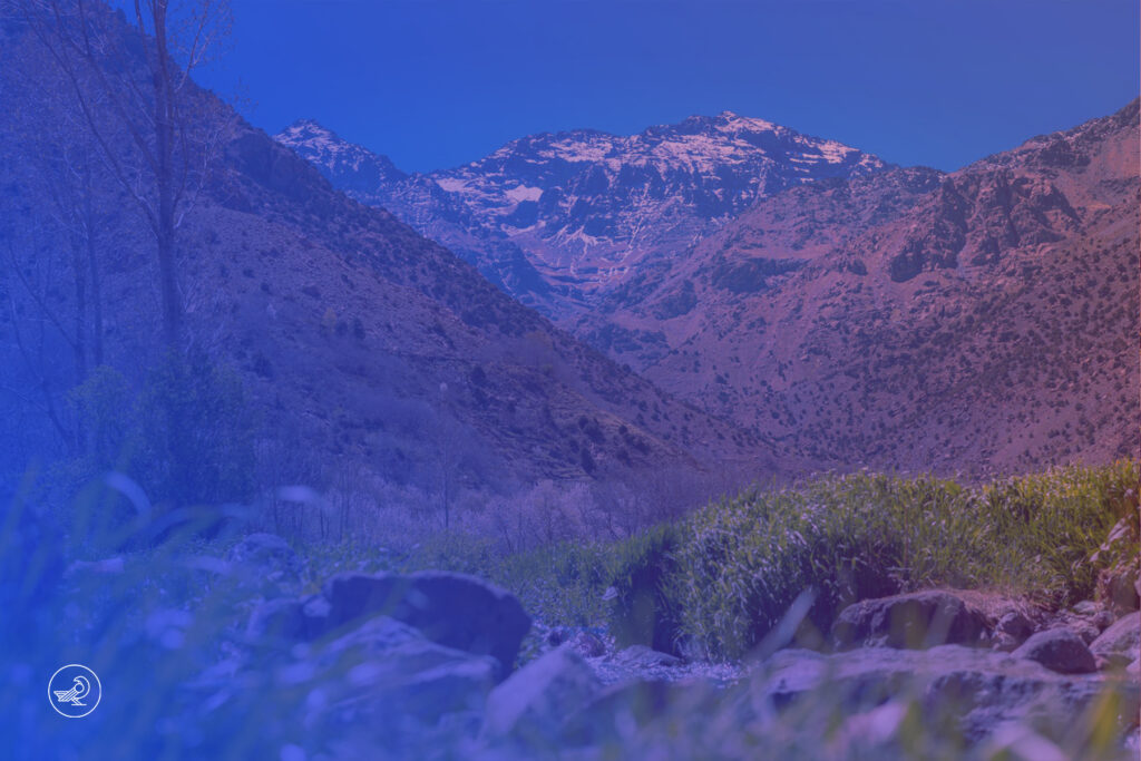 Nabil C. Naili - La finance verte comme opportunité stratégique pour le Maroc