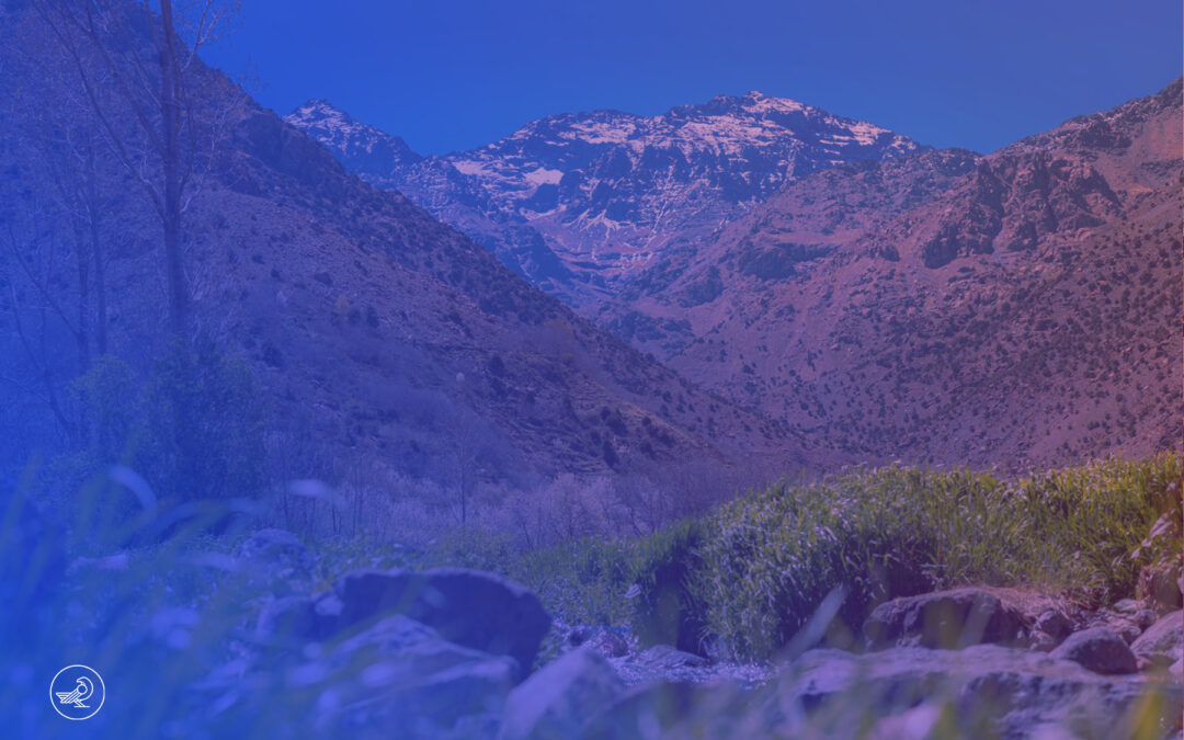 La finance verte comme opportunité stratégique pour le Maroc.