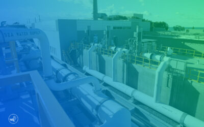 Le dessalement au Maroc – Sécurité hydrique ou catastrophe écologique ?