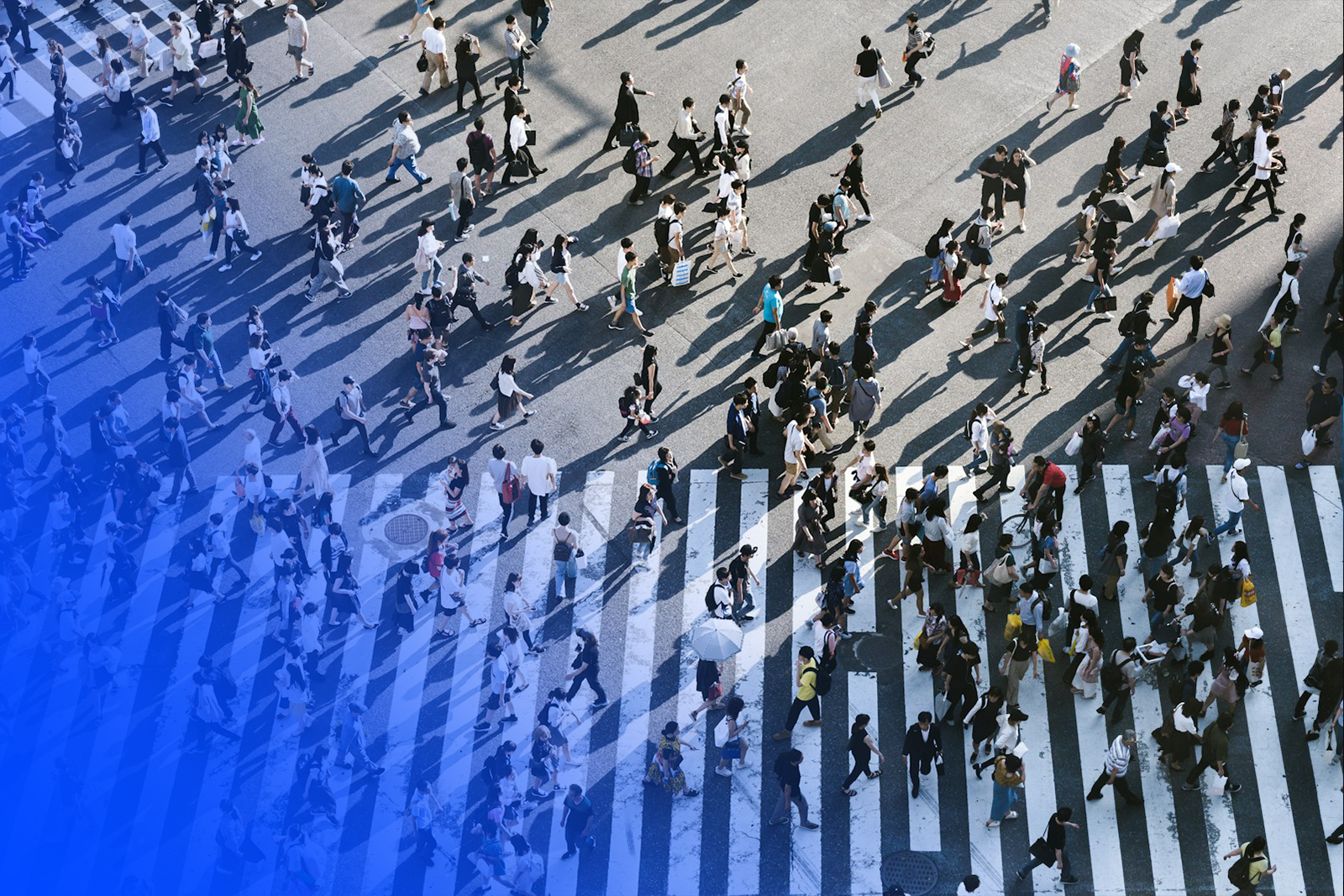 Démographie et Sociétés