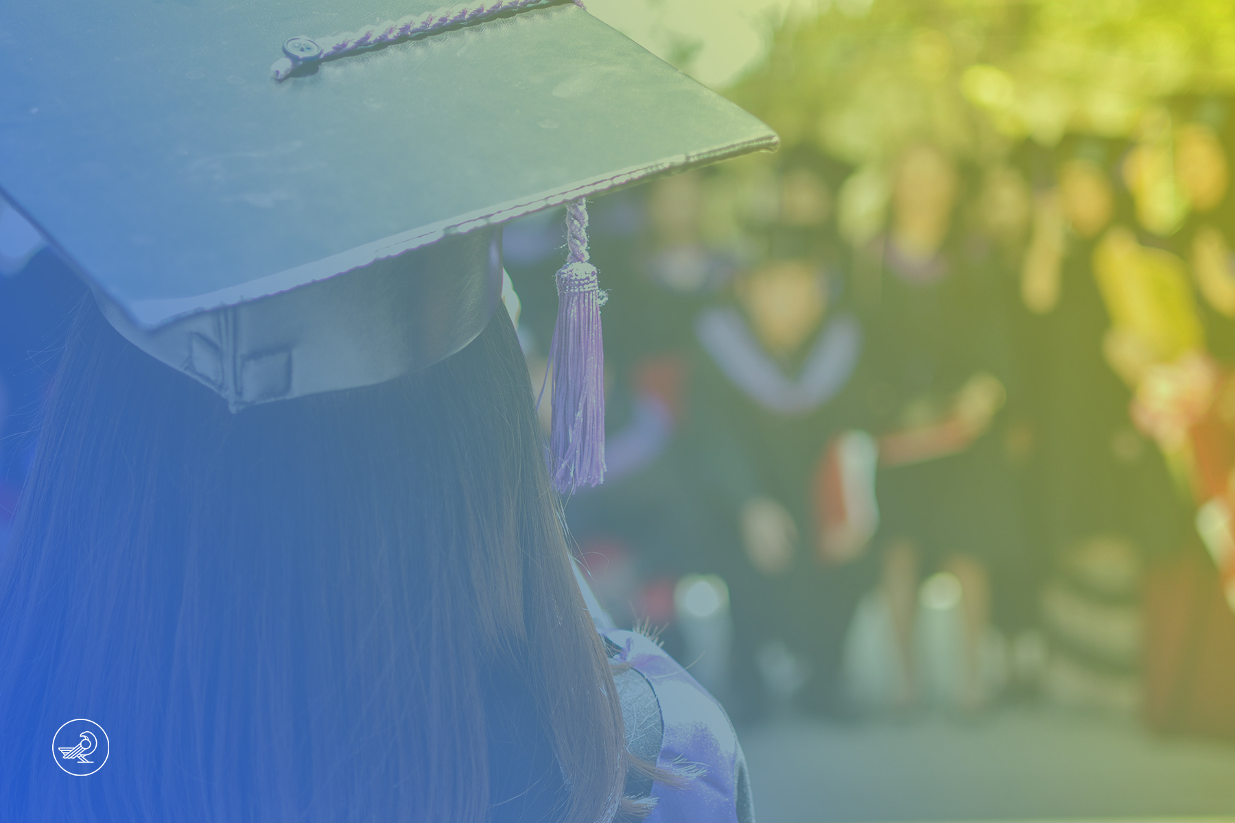 Nabil C. Naili - Le BNPL Educatif - Futurise